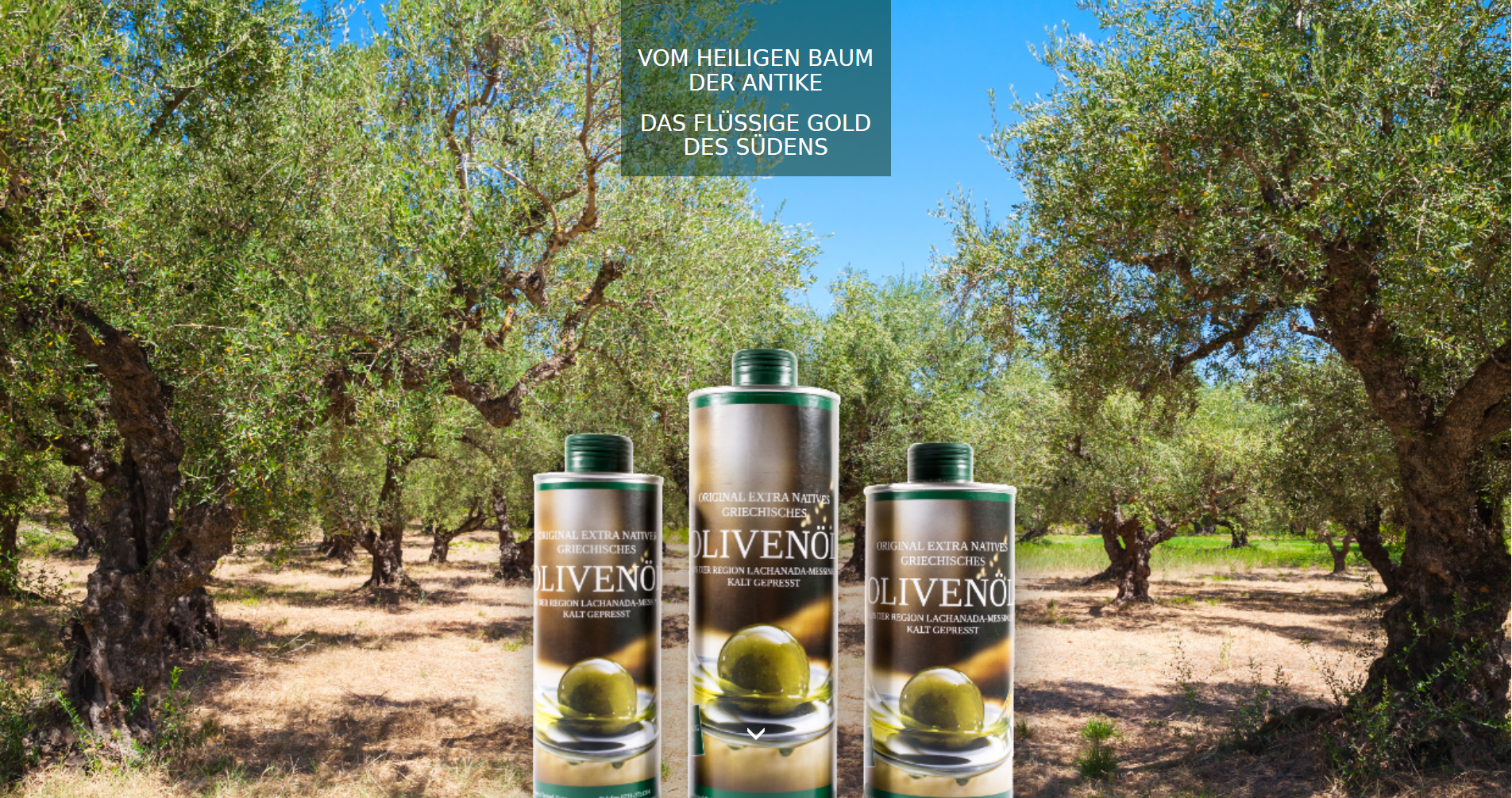 griechisches olivenöl